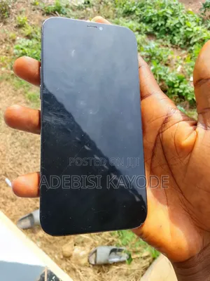 Apple iPhone 12 Pro Max 128 GB Black