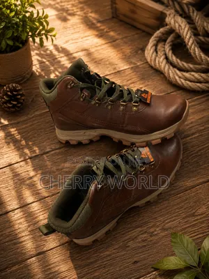 Fashionable Shoe