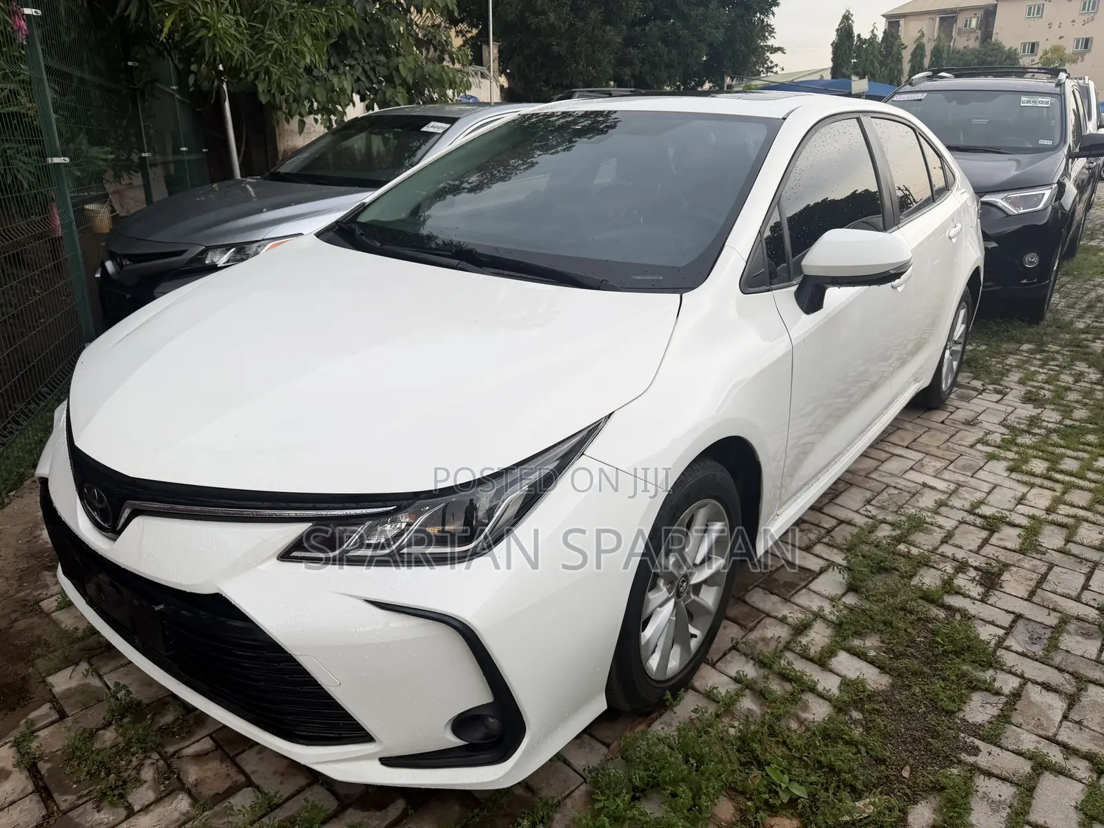 Toyota Corolla 2022 White