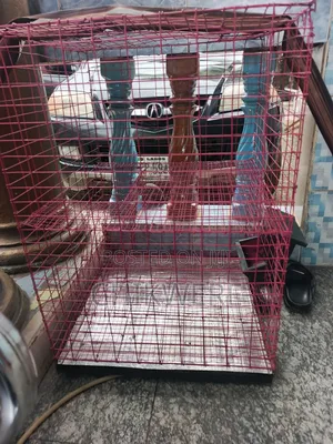 Dog, Hutch, Cage For Sale