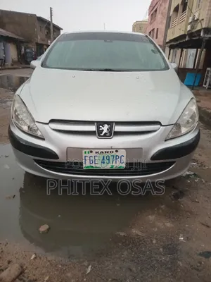 Peugeot 307 2008 Silver