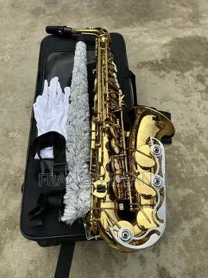 Yamaha Yas200dr Professional Alto Saxophone