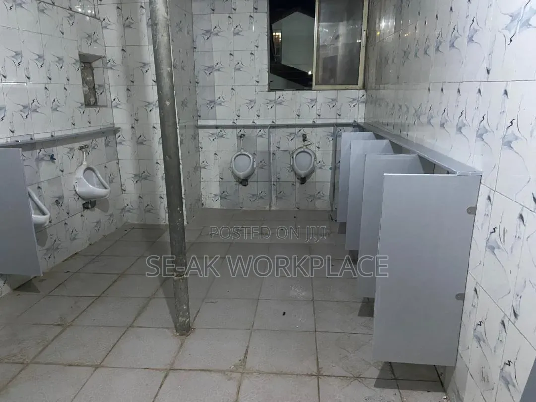 Public Urinary Modest Dividers