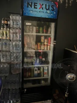 Standing Fridge