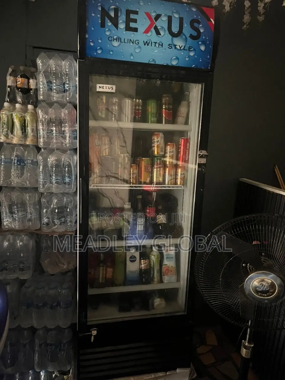 Standing Fridge