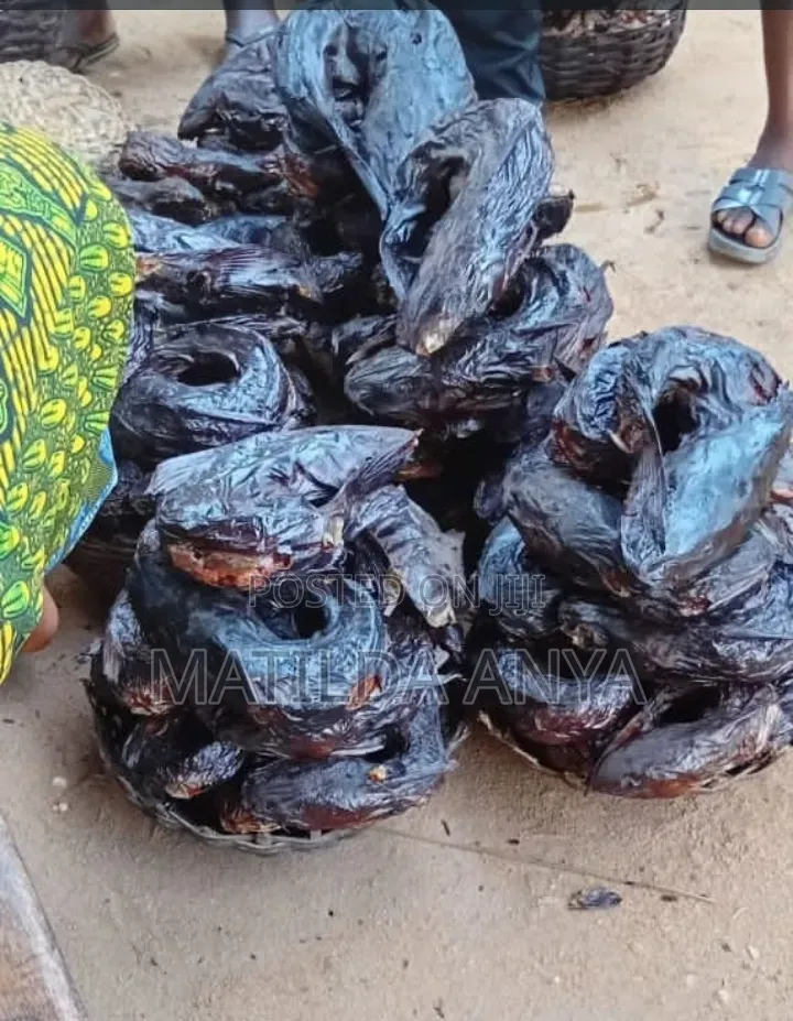 Fresh Dried Fish