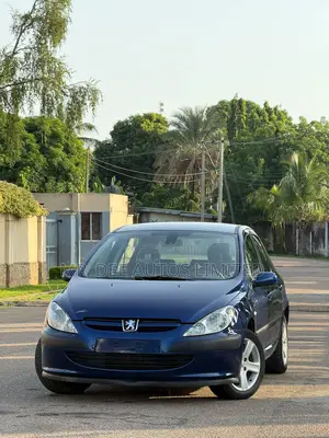 Peugeot 307 2007 Blue