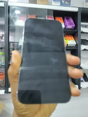 Apple iPhone 12 Pro 256 GB Gray