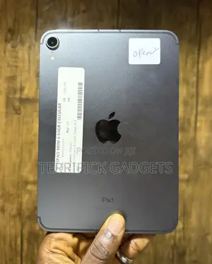 Apple iPad mini 6 64 GB Gray