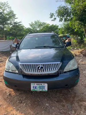 Lexus RX 330 2004 Blue