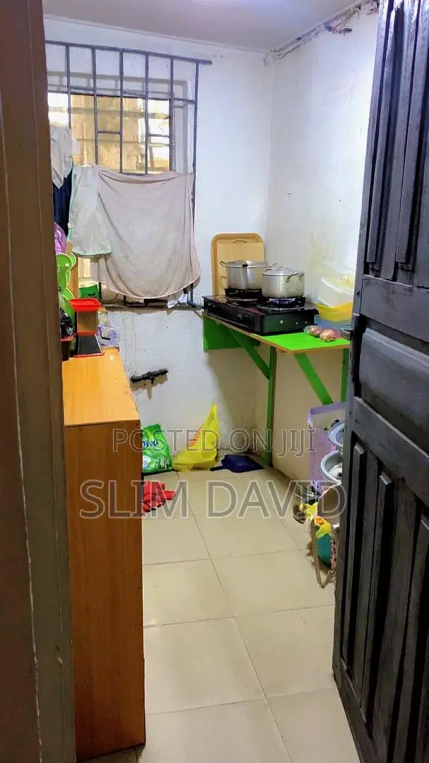 Female Shared Apartment