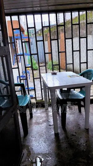 Female Shared Apartment
