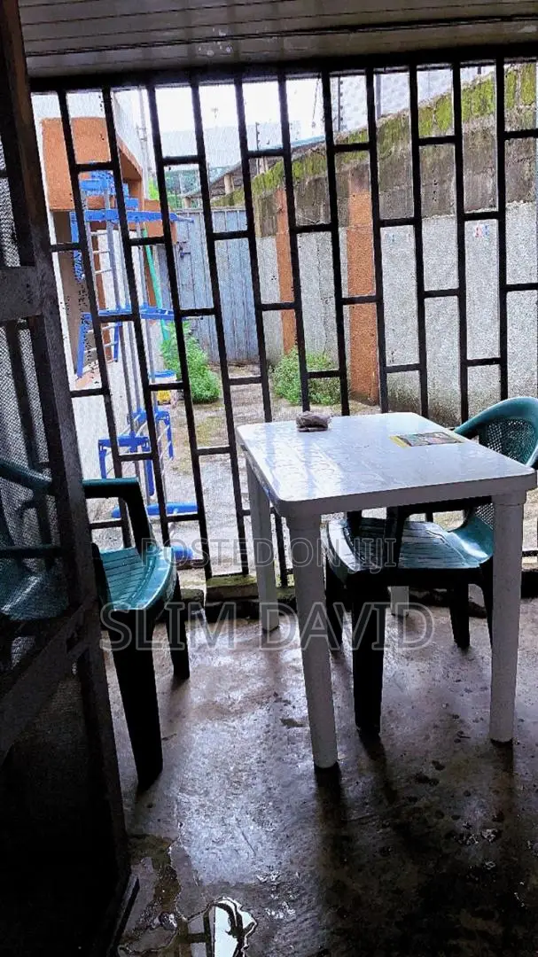 Female Shared Apartment