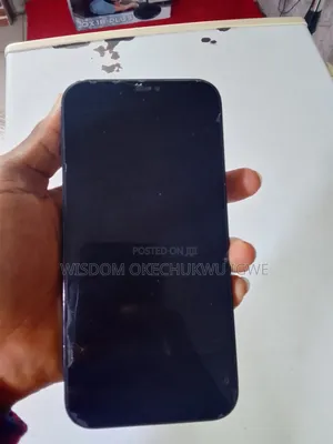 Apple iPhone 12 Pro Max 256 GB Blue