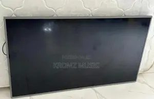 Samsung 55 Inch Tv