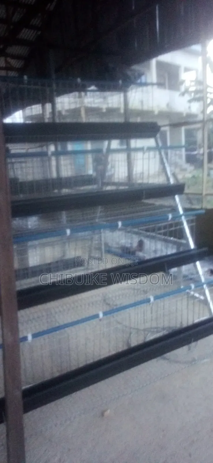 Battery Cage