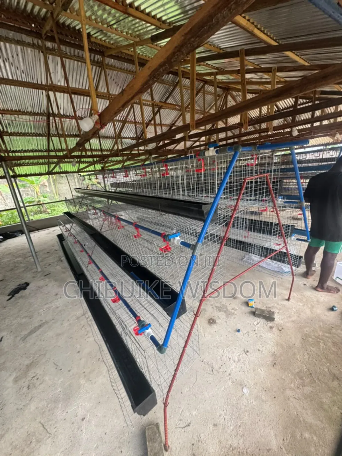 Battery Cage