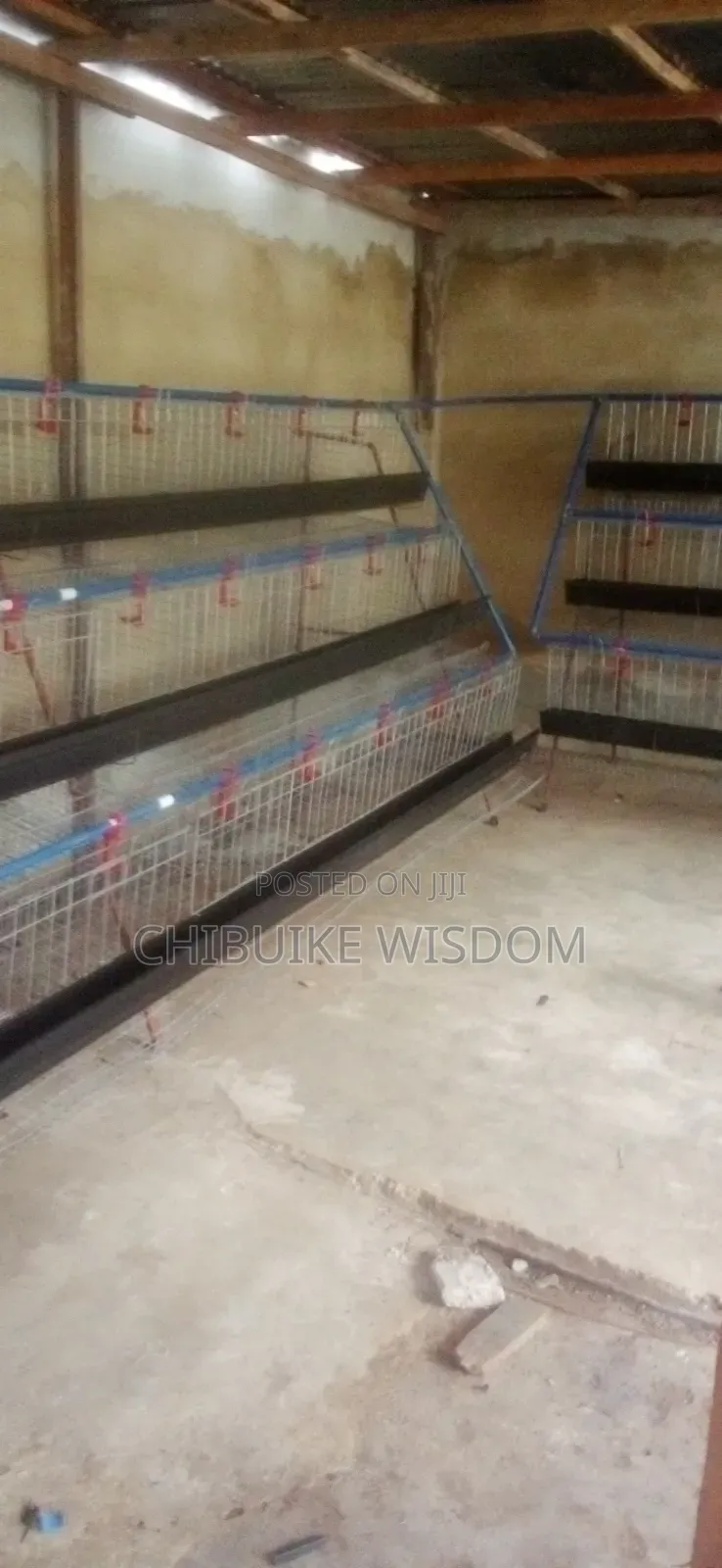 Battery Cage