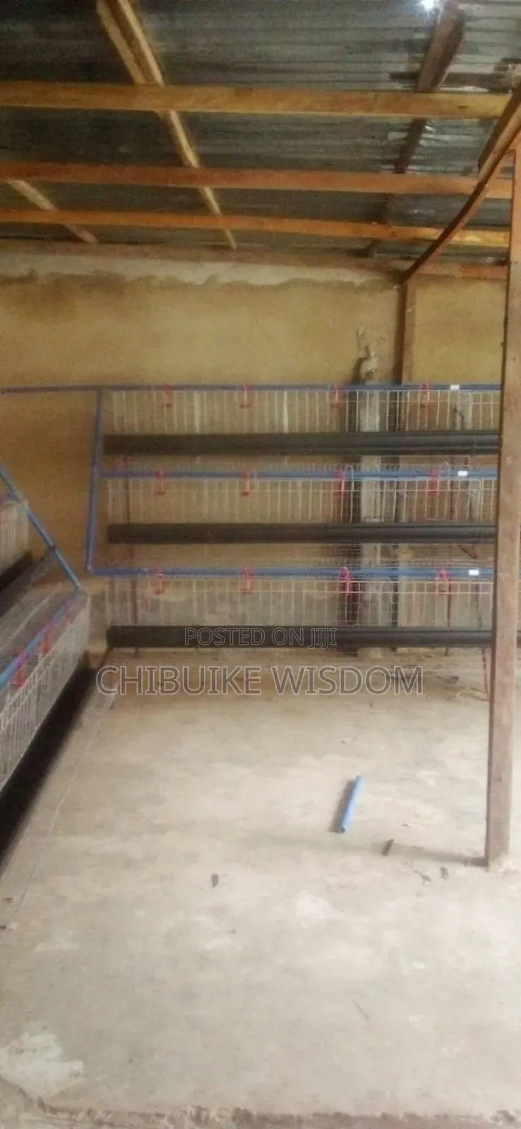 Battery Cage
