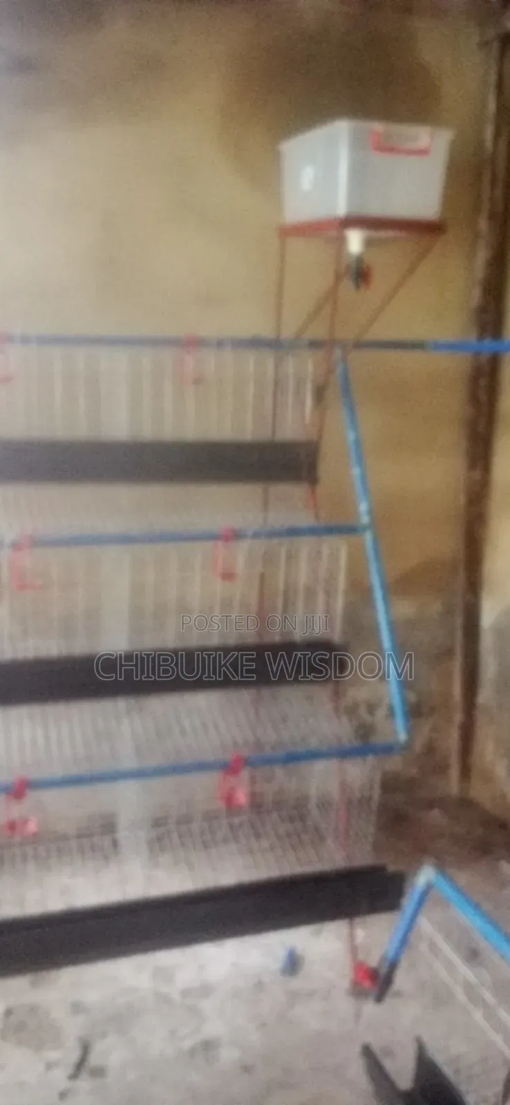 Battery Cage
