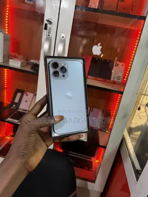 Apple iPhone 13 Pro Max 128 GB Gray
