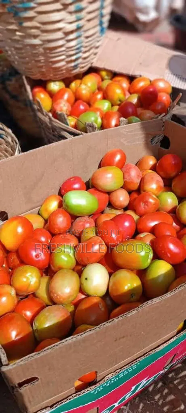 Utc Tomatoes