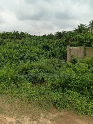 Urgent Sale: Half Plot at Igbogbo Ikorodu