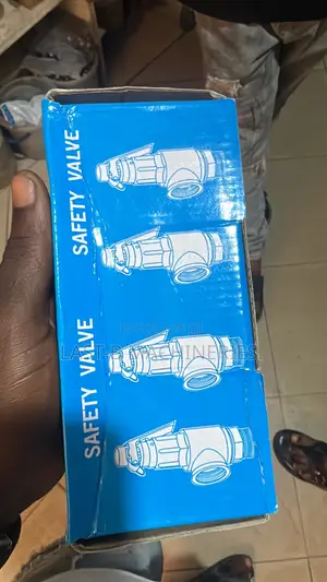 1” Safety Valve