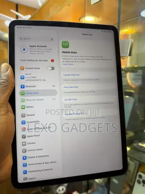Apple iPad Pro 11 (2021) 256 GB Gray