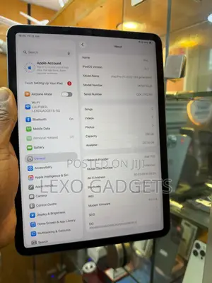 Apple iPad Pro 11 (2021) 256 GB Gray