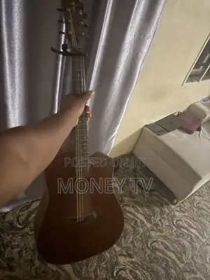 Brand New Acoustic Guitar