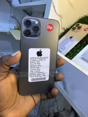 Apple iPhone 12 Pro Max 256 GB Black