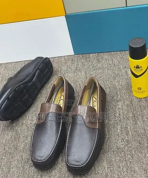 Premium Clarks Loafers Mens Shoes