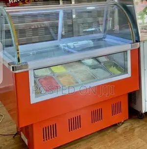 Premium 12-Pan Ice Cream Display Freezer