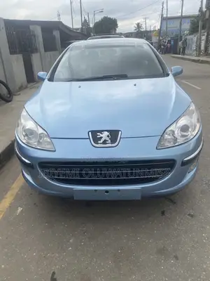 Peugeot 407 2007 Blue