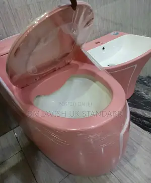Smart Pink Water Closet