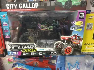 Remote Control Stunt Car