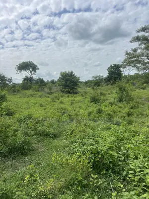 5000 Acres of Land for Sale at Alamala Abeokuta Comes With C of O
