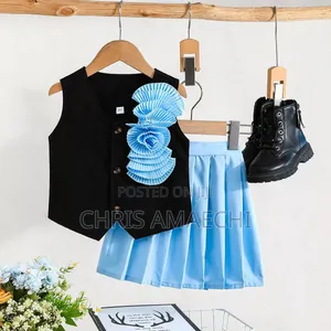Beautiful Pleated Skirt and Top