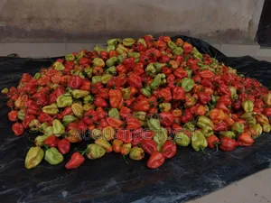Super Habanero Pepper and Bell Pepper