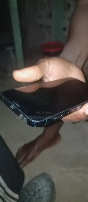 Apple iPhone 12 Pro Max 256 GB Blue