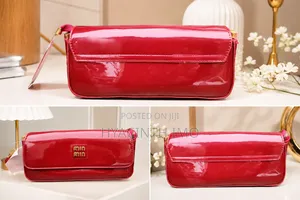 Ladies Handbag