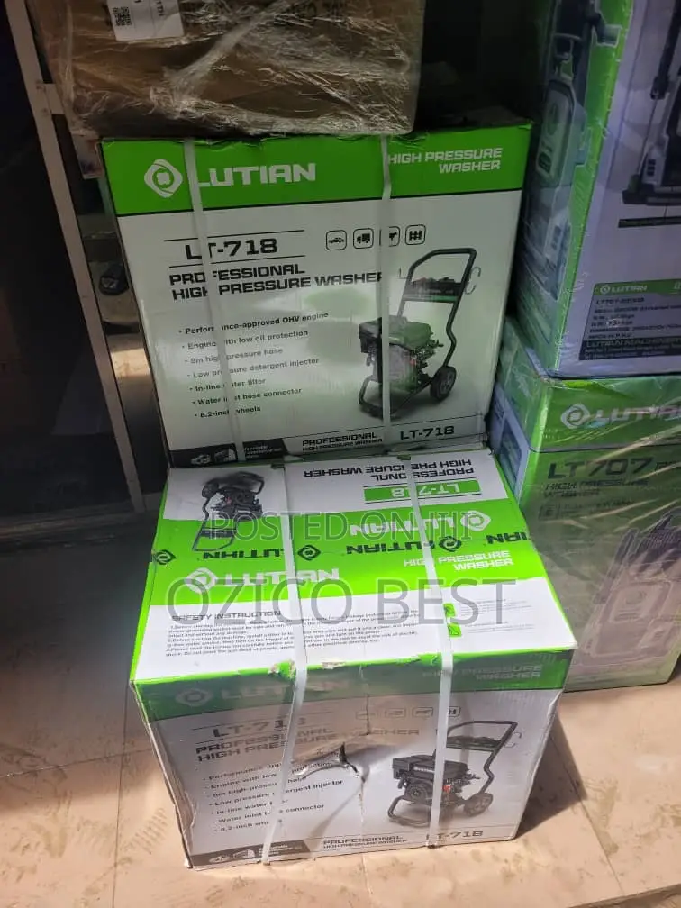 Professional High-Pressure Washer