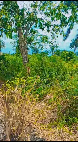 Plots of Land in Omagwa
