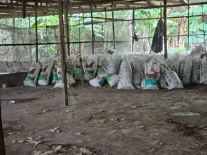 Poultry Manure