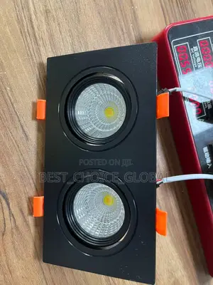 Classic Interior Spot Light 2in1