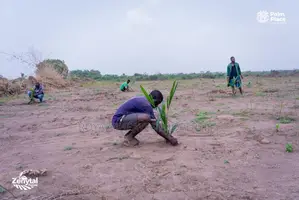 15 Plots of Land for Sale in Ogun State