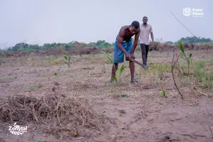 15 Plots of Land for Sale in Ogun State