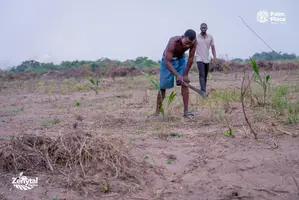 15 Plots of Land for Sale in Ogun State