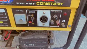 Kick Starter Elepaq Generator